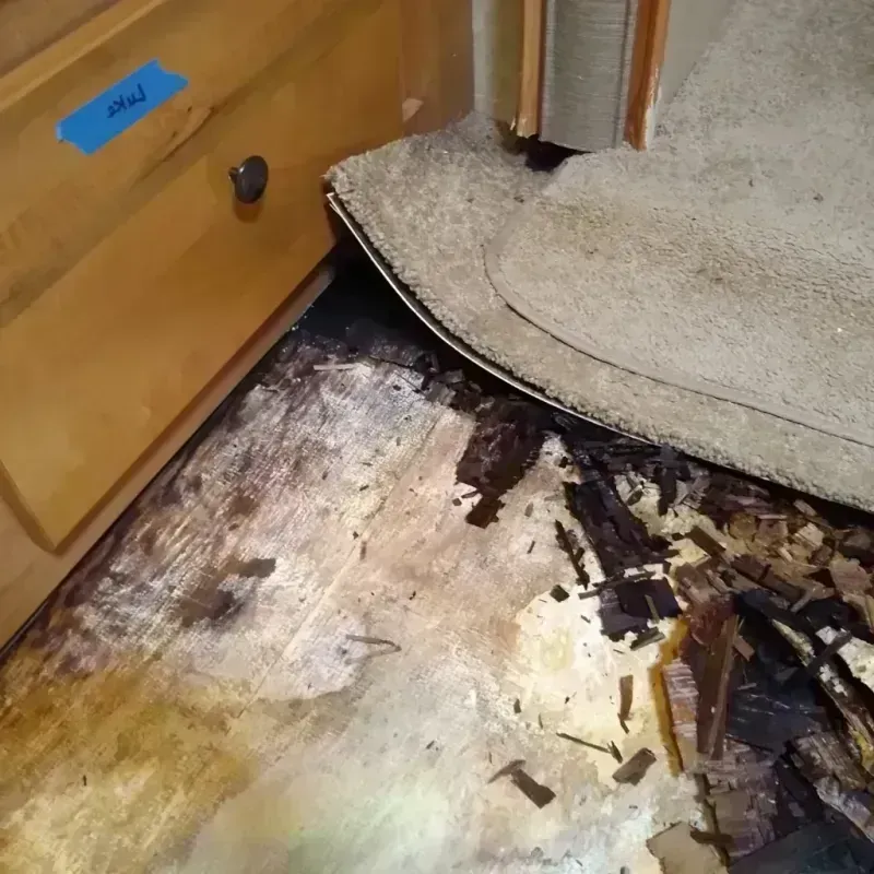 Wood Floor Water Damage in Benton Harbor, MI